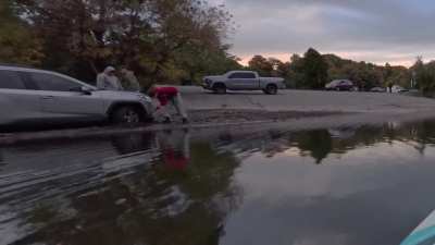 Stuck On Humber River Embankment