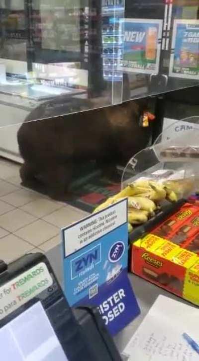 Looting the convenience store