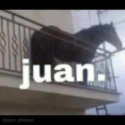 juan.