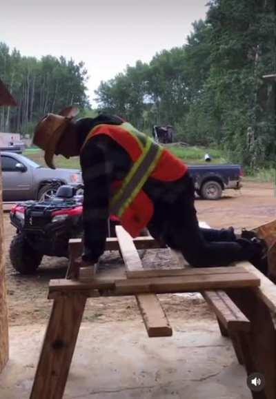 A true professional at work