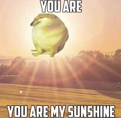 Hope this makes someone smile 😊