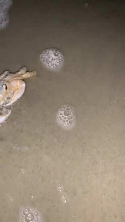 He was a little crabby, but I had it coming.