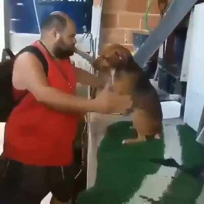 This the welcome i want when i get back to my house