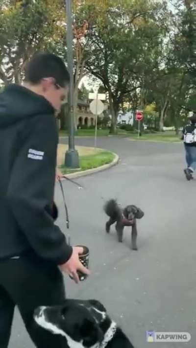 Don't be stupid racist weirdo