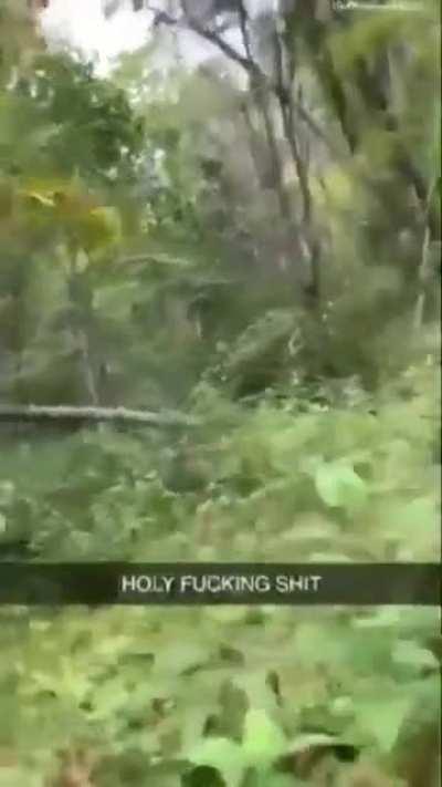 Dad Reflexes....not!