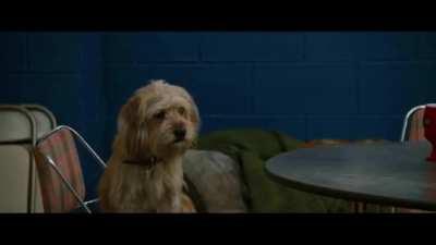 If someone finds out about my failed suicide attempt I’m just gonna be impartial about it so they never know the true of extent of what happened?