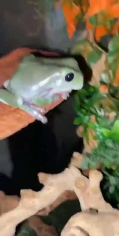 Well, it could be worse