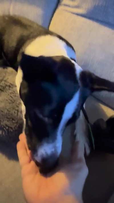 Autistic man with dog. I never knew how to love before her