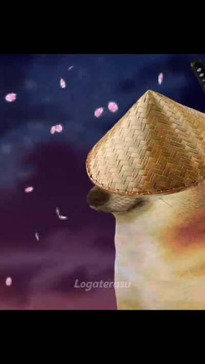 @belledelphine you did this