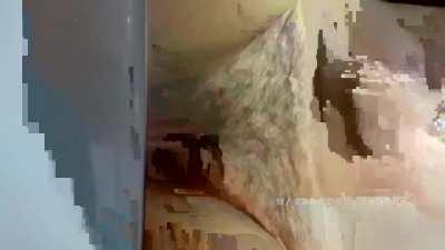 [SELLING] Scat folder and individual videos • Special valentine's Day offers • Así me for menu