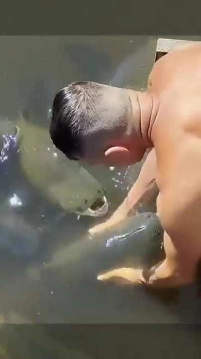 A man gains trust of fish