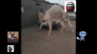 BTS ON TOUR AGAIN? ❗️❗️❗️ BTS في جولة مرة أخرى؟