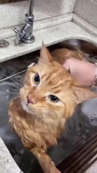 He's probably swearing