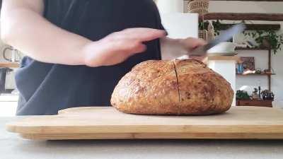 Big beautiful girl in the spring sun 😻