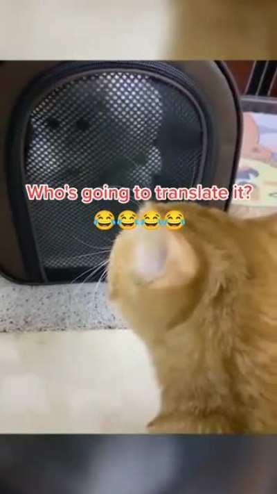 Who`s going to tranlate it?