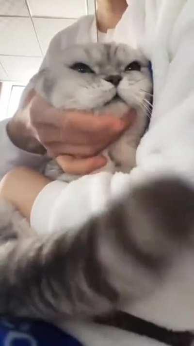 When you pet a mountain bike