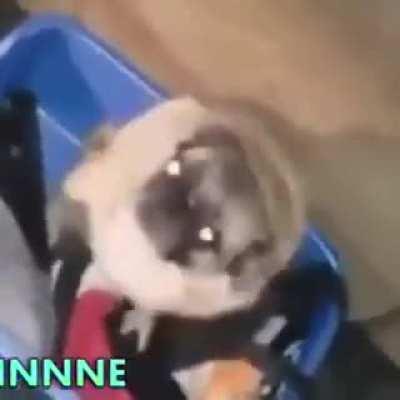 So nadie se sabe está canción, me doy un tiro :p