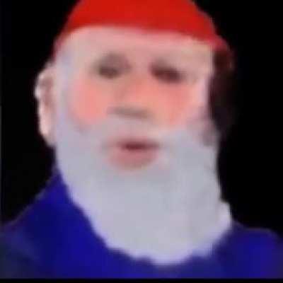 cute video of cats with bread