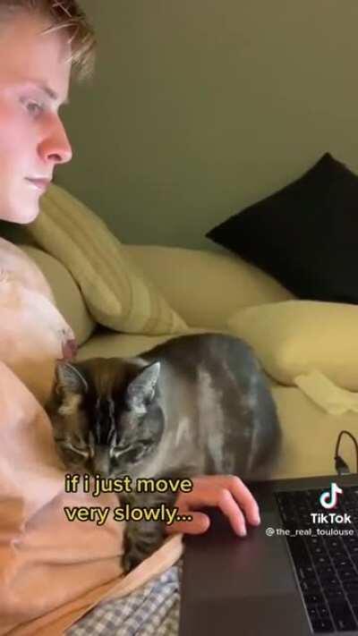 Whatever work he's doing it's not important