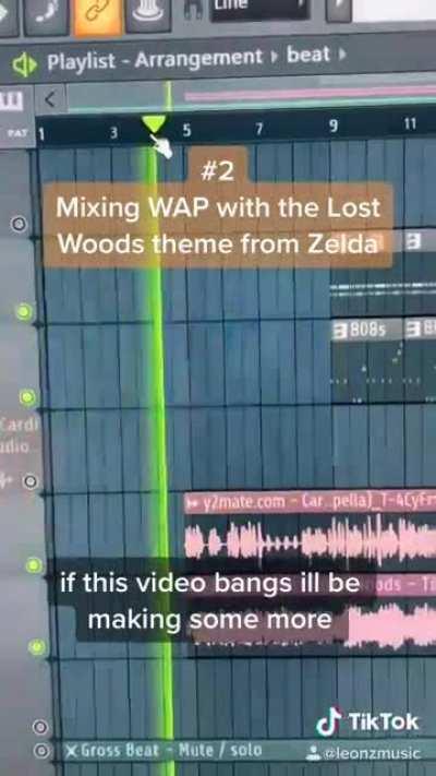 As you all liked the last one; here's WAP mixed with the Lost Woods theme from Zelda