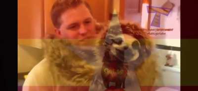 Join goat! And go against sloth.