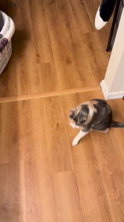 She tells me off like this every morning and any time I come home….