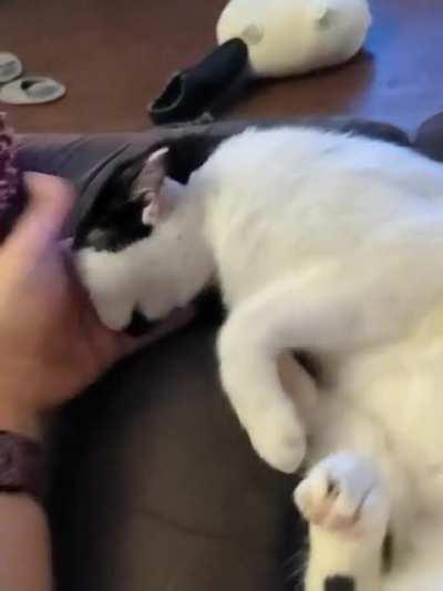 Was told you would appreciate the Lady