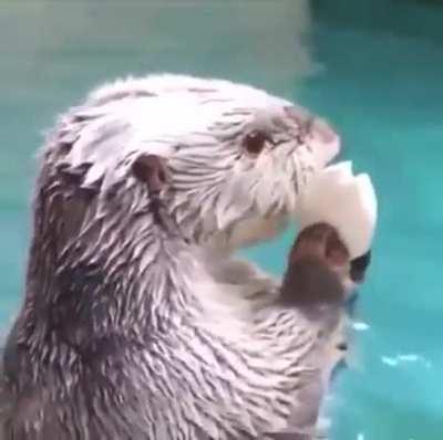 put it in your pocket