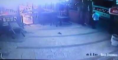 Fighting like cats and dogs