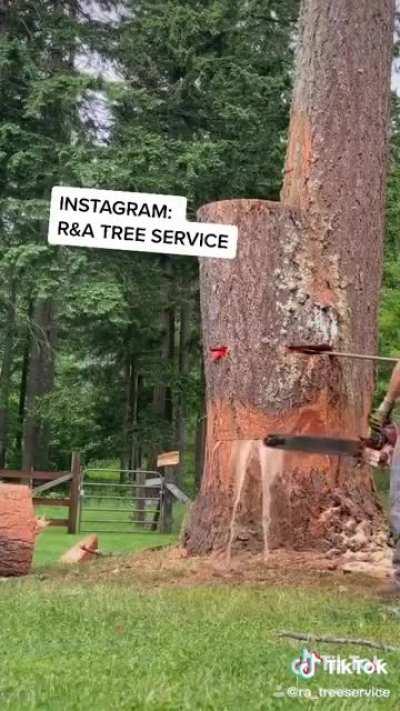 Being a lumberjack like this seems mildly satisfying