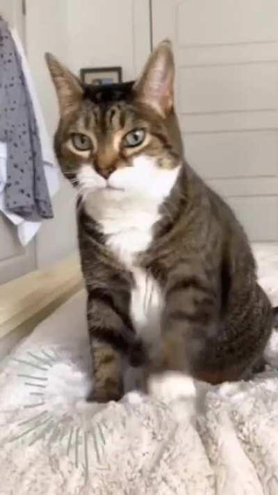 14sec clip to get your day goin' 9999ping is real.