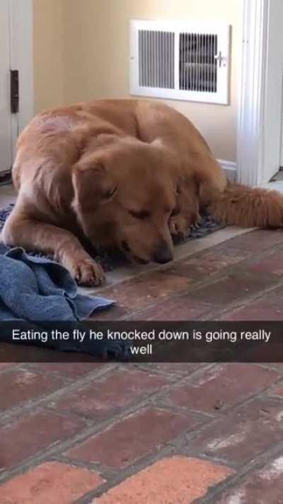 Sky raisin not as tasty as expected, some regrets