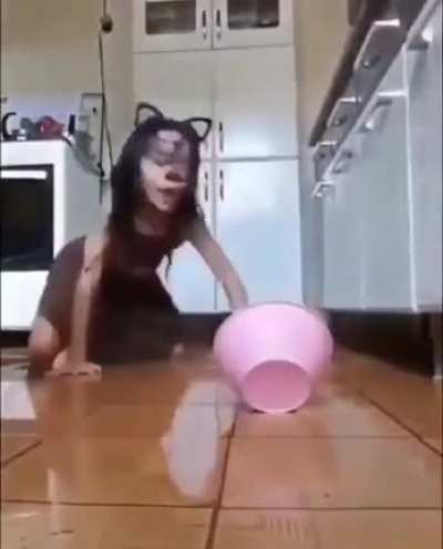 cursed_cat