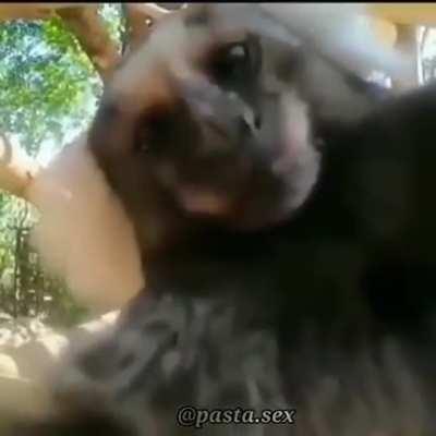 Watch it for happiness