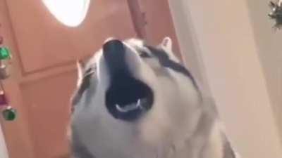 Classically trained in Mezzo-Soprano with flawless technique