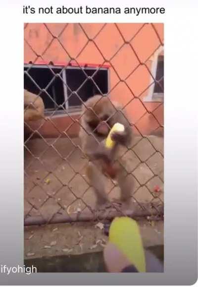 It’s that last look…..