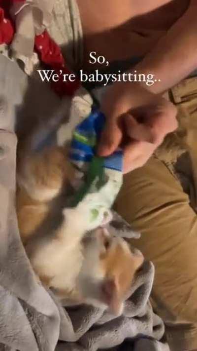 The treats shan’t be withheld!