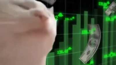 hell yeah, we hit 0.06 🌕🚀