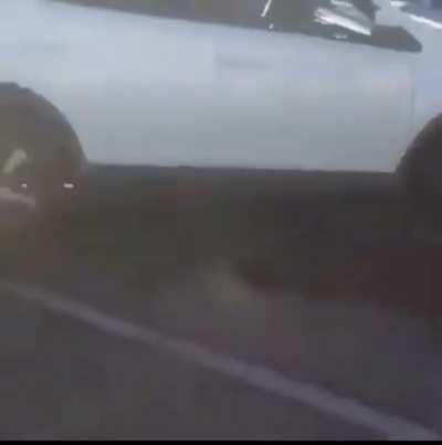 This video is a cinematic masterpiece of absolute chaos