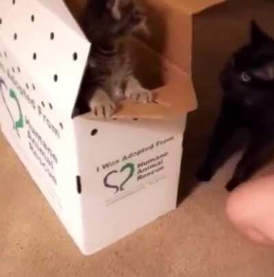 Spain but the S is silent