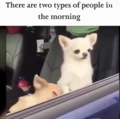 Which one are you? 😎