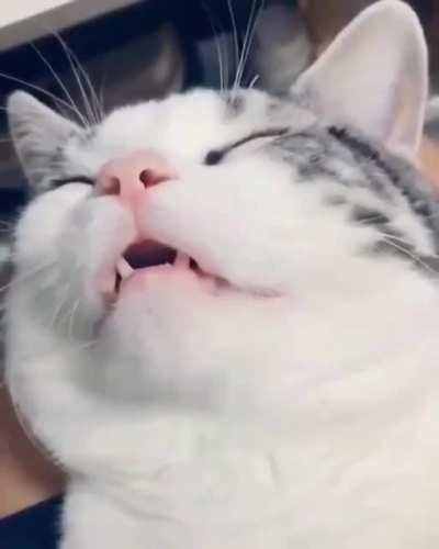 Oh my goodness please turn on sound