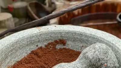 I didn’t know chocolate was made from alien face-huggers