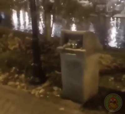 Я вас не звал