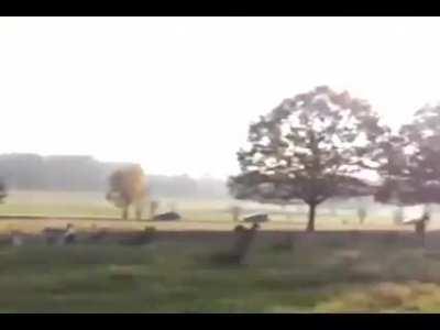 My deer tribe need me whether they like it or not