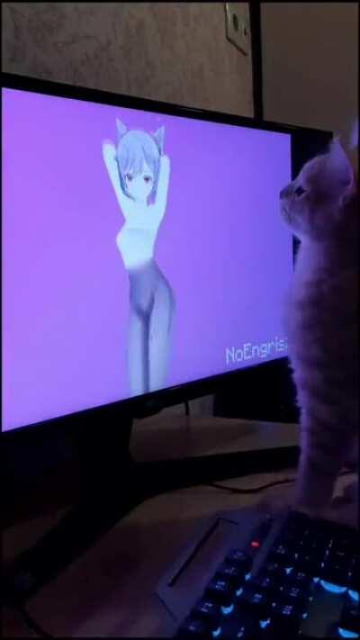 A very cultured cat pt.2