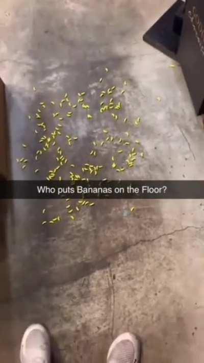 bananas