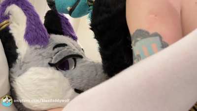 Need more cum-hungry slutty vixens like this to breed and impregnate daily🔥🐺🍆💦