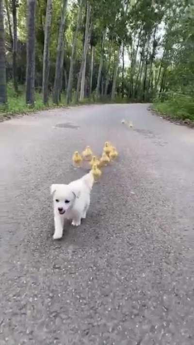 It's morning exercise