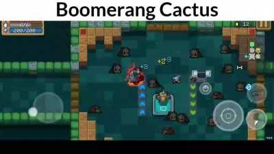 Boomerang cactus